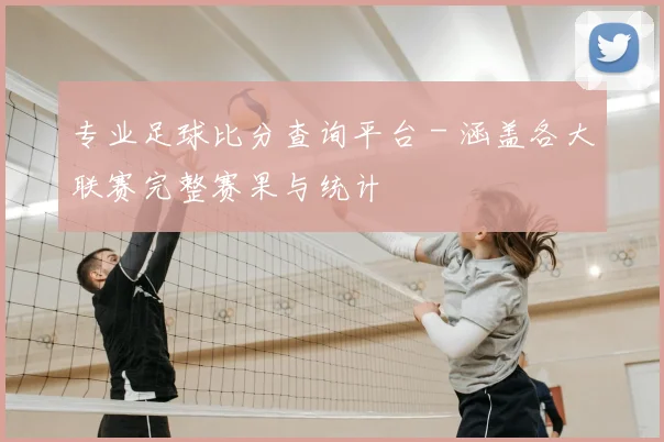 专业足球比分查询平台 - 涵盖各大联赛完整赛果与统计